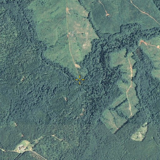 Aerial/Satellite Image of Cedar Creek, GA