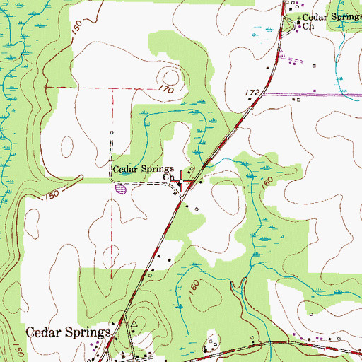 Topographic Map of Cedar Springs Church, GA