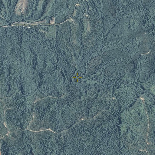 Aerial/Satellite Image of Chamblers Branch, GA