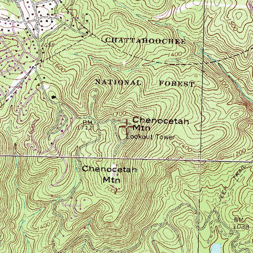 Topographic Map of Chenocetah Mountain, GA
