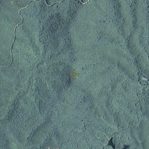 Aerial/Satellite Image of Chestnut Knob, GA