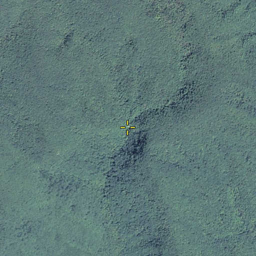 Aerial/Satellite Image of Cochrans Falls, GA