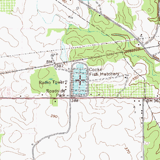 Topographic Map of Cocke Fish Hatchery, GA