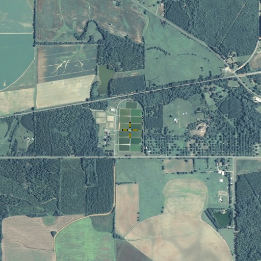 Aerial/Satellite Image of Cocke Fish Hatchery, GA