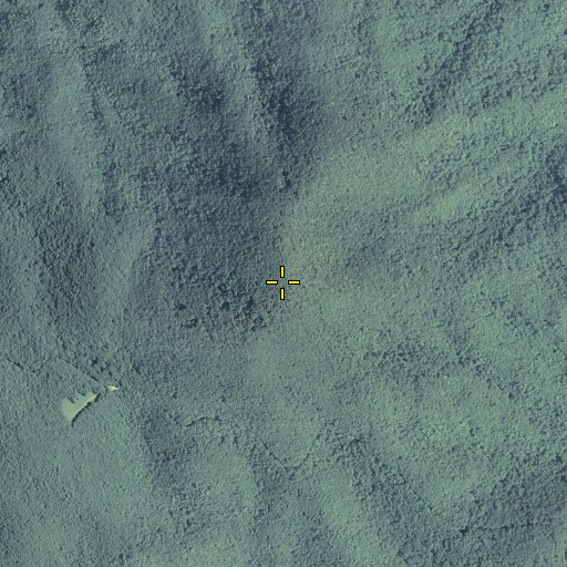 Aerial/Satellite Image of Cohutta Mountain, GA