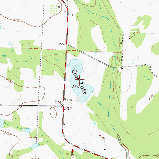 Topographic Map of Cook Lake, GA