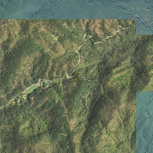 Aerial/Satellite Image of Cornpen Gap, GA