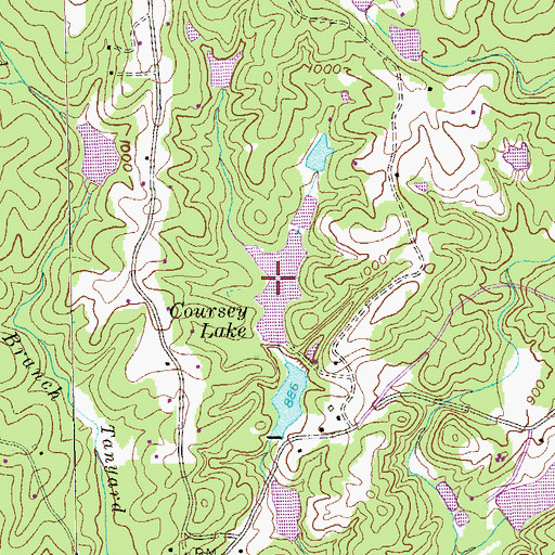 Topographic Map of Coursey Lake, GA