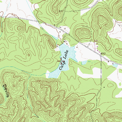 Topographic Map of Culp Lake, GA