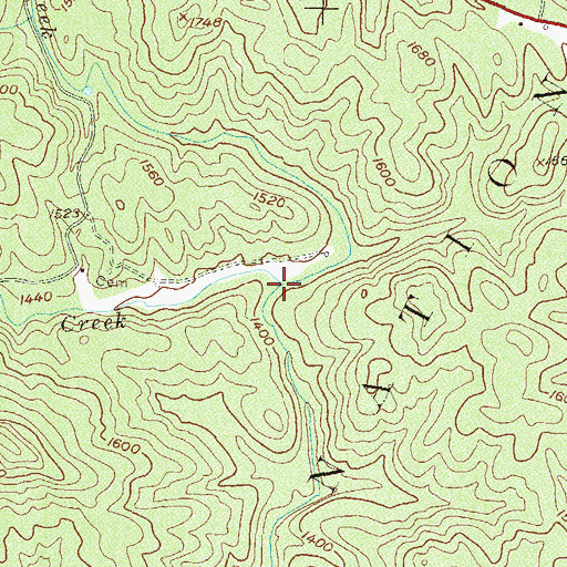 Topographic Map of Cutting Bone Creek, GA