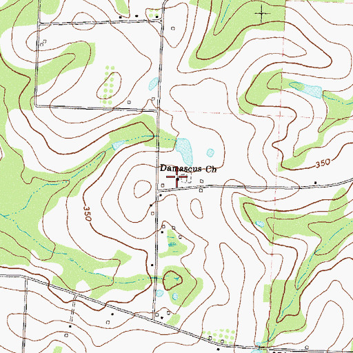 Topographic Map of Damascus Church, GA