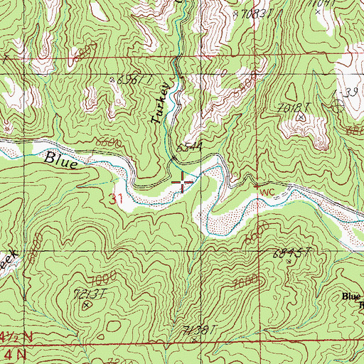 Topographic Map of Turkey Creek, AZ