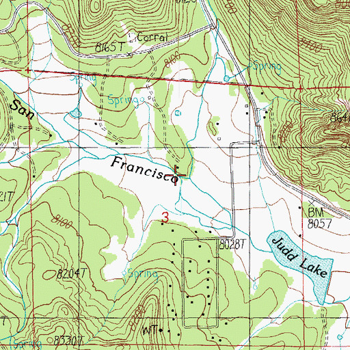 Topographic Map of Turkey Creek, AZ