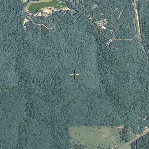 Aerial/Satellite Image of Davis Memorial Lookout Tower, GA