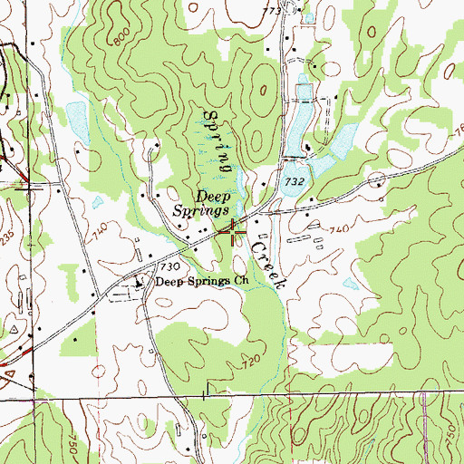Topographic Map of Deep Springs, GA