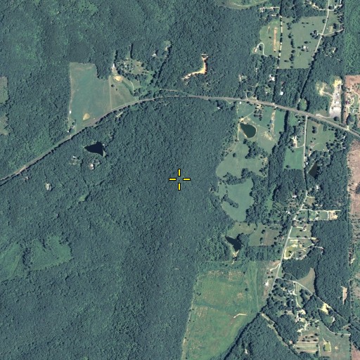 Aerial/Satellite Image of Dick Ridge, GA