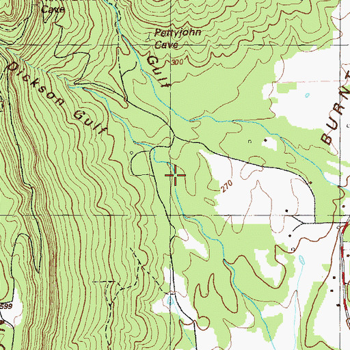 Topographic Map of Dickson Gulf, GA