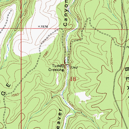 Topographic Map of Turkey Crossing, AZ