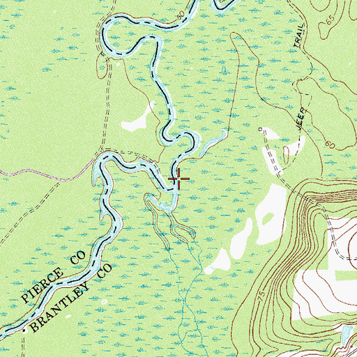 Topographic Map of Dix Branch, GA