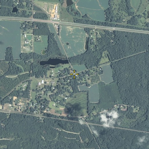 Aerial/Satellite Image of Dixie, GA