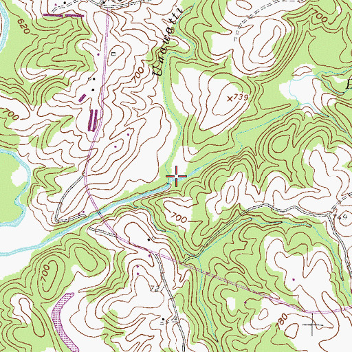Topographic Map of Double Branch, GA