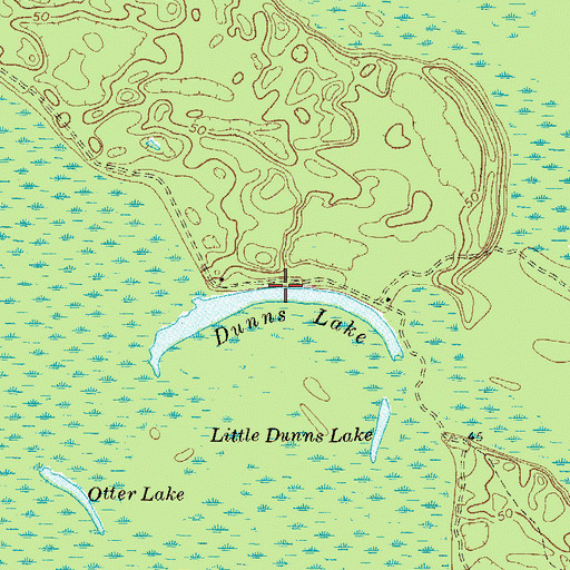 Topographic Map of Dunns Lake, GA