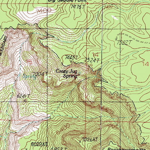Topographic Map of Crazy Jug Spring, AZ