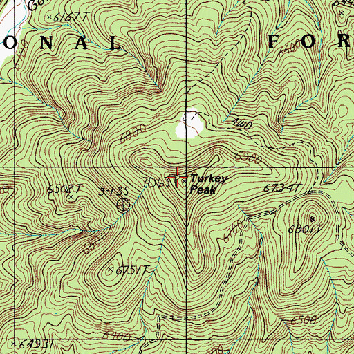 Topographic Map of Turkey Peak, AZ