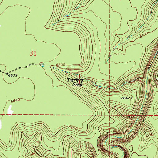 Topographic Map of Turkey Seep, AZ