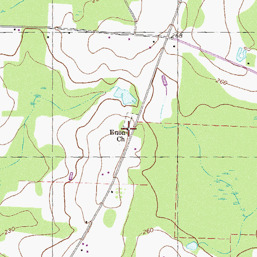 Topographic Map of Enon Church, GA