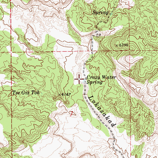 Topographic Map of Crazy Water Spring, AZ