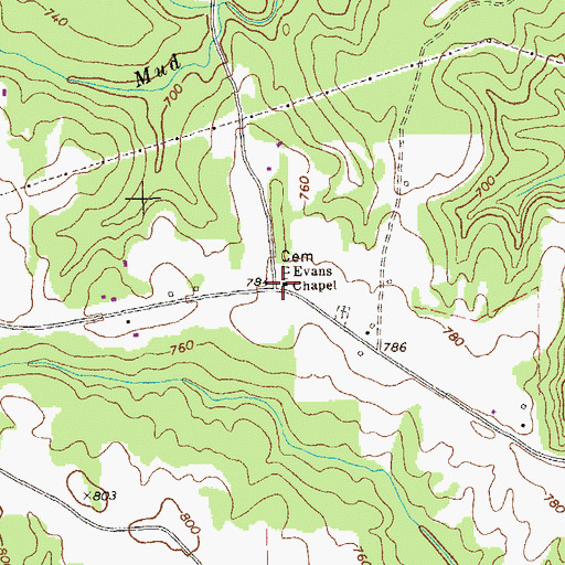 Topographic Map of Evans Chapel, GA