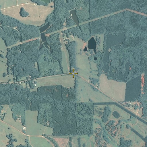 Aerial/Satellite Image of Evans Chapel, GA