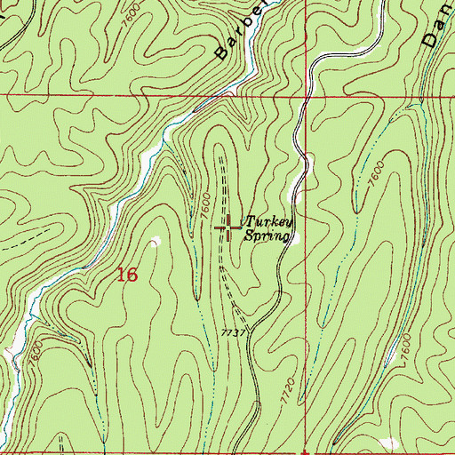 Topographic Map of Turkey Spring, AZ