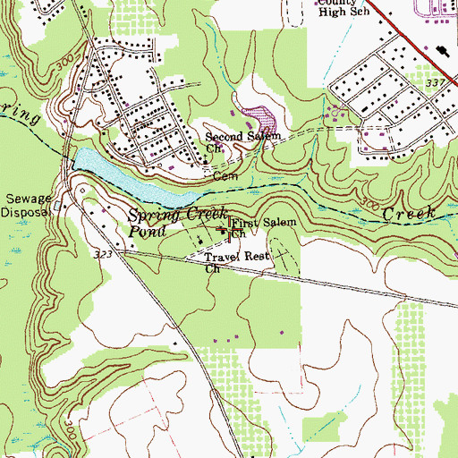 Topographic Map of First Salem Church, GA