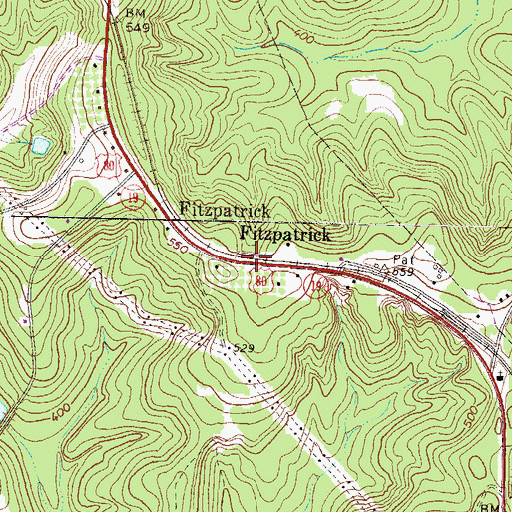 Topographic Map of Fitzpatrick, GA