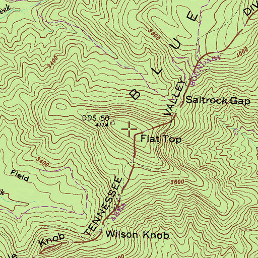 Topographic Map of Flat Top, GA