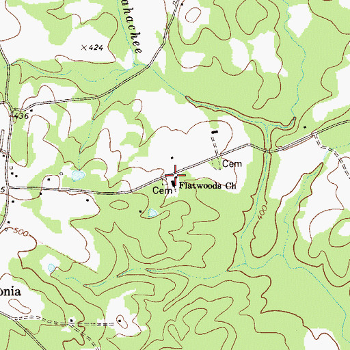 Topographic Map of Flatwoods Church, GA