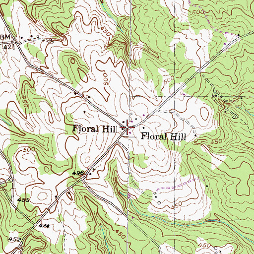 Topographic Map of Floral Hill, GA