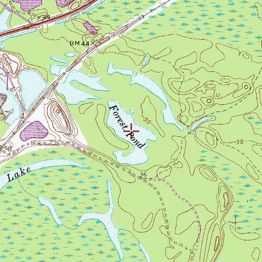Topographic Map of Forest Pond, GA