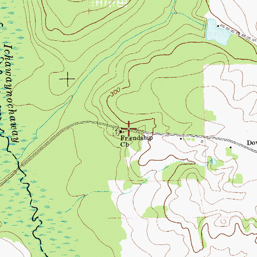 Topographic Map of Friendship Church, GA