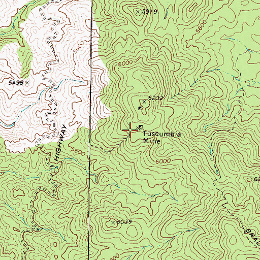 Topographic Map of Tuscumbia Mine, AZ