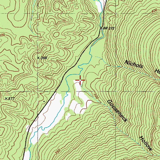 Topographic Map of Gooseneck Hollow, GA