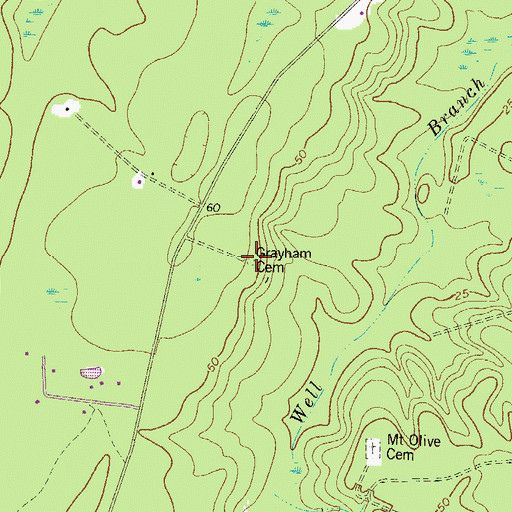Topographic Map of Grayham Cemetery, GA