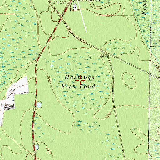 Topographic Map of Hastings Fish Pond, GA
