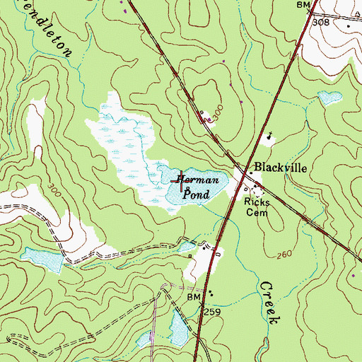 Topographic Map of Herman Pond, GA
