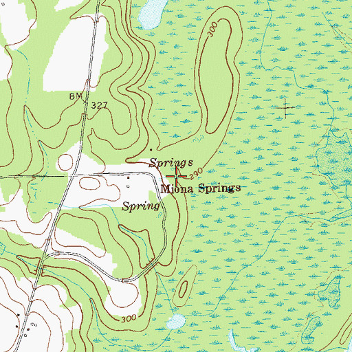 Topographic Map of Miona Springs, GA