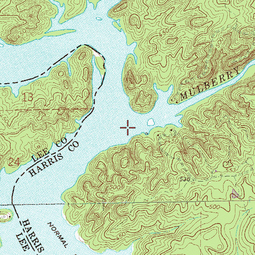 Topographic Map of Mulberry Creek, GA