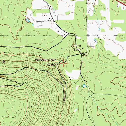 Topographic Map of Newsome Gap, GA