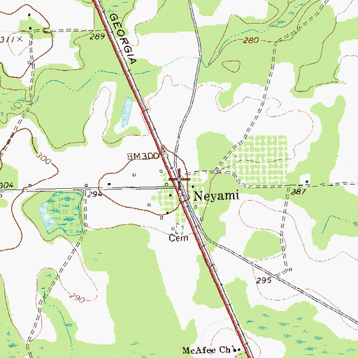 Topographic Map of Neyami, GA